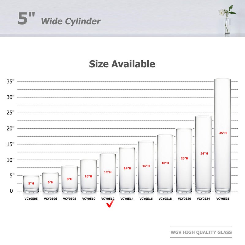 WGVI WGV Quality Thick Cylinder Vase, Diameter 5", Height 12", Clear Glass Floral Planter Container, Tall Centerpiece Arrangement for Wedding Home Decor, 1 Piece - Image 3